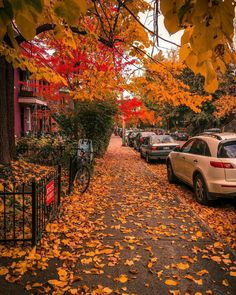 cars parked on the side of a leaf covered street