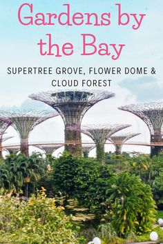 gardens by the bay, singapore grove, flower dome and cloud forest with text overlay