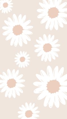 white daisies on a light pink background