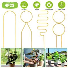 four different types of plants in pots with the words 4 pcs on each one side