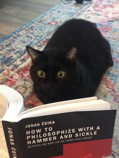 a black cat laying on top of a rug next to a book titled how to hilosophize with a hammer and sickle