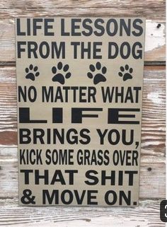 Quotes Funny Life, Funny Dog Signs, Wall Boards, Magnet Ideas, Block Signs, Funny Wood Signs, Wood Signs Sayings, Diy Wood Signs, Cricut Designs