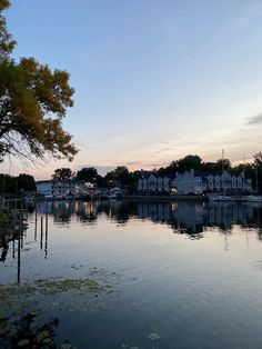 a body of water with houses in the background and trees on both sides at dusk