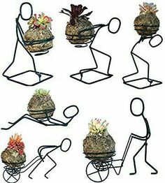 four wire sculptures with succulents and plants in them, each holding a rock