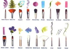 various types of makeup brushes and their names on a white background with flowers, leaves, and branches