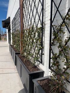 three planters with plants growing in them on the side of a white brick building