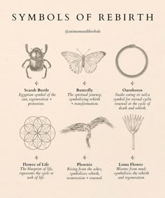 Tattoo Ideas For Empaths, Dark Spiritual Tattoos, Pagan Goddess Tattoo, Symbol Of Rebirth, Healing Energy Tattoo, Wiccan Tattoos Protection, Deadly Flower Tattoo, Feminine Energy Tattoo Symbols, Divine Feminine Tattoo Symbols