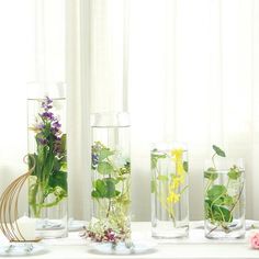 three vases filled with plants on top of a table covered in water and greenery