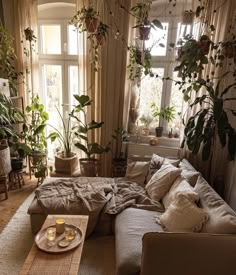 a living room filled with furniture and lots of plants on the windowsill, next to a window sill