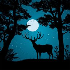 a deer is standing in the woods at night with the moon behind it and trees