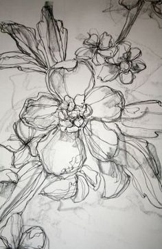 a drawing of some flowers on a white sheet with black ink and pencil in it