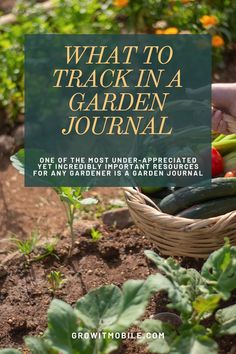 what to track in a garden journal