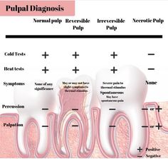 Inbde Dental Exam, Dental Charting, Dental Assistant School, Dental Hygienist School, Dental Nurse, Dental Aesthetics