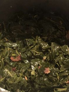 spinach and bacon cooking in a pot