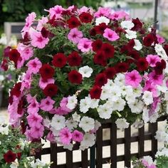 many different colored flowers growing on the side of a fence