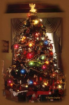 a decorated christmas tree in a living room