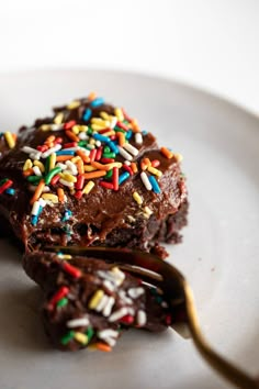 a chocolate dessert with sprinkles is on a plate