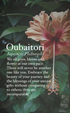 an image of a flower with the words obbattorii on it