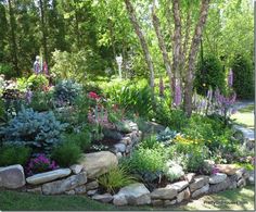 a garden filled with lots of different types of flowers and plants on top of rocks