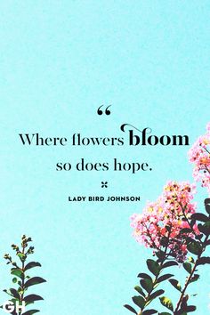 a quote from ladybird johnson about flowers blooming on a blue sky background with the words, where flowers bloom so does hope