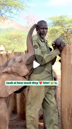 an elephant standing next to a man holding a baby elephant on top of it's trunk