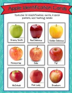 an apple identification card with twelve different apples