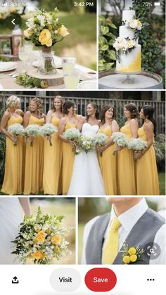 yellow and gray wedding color scheme for the bridesmaid, bridals and groomsmid