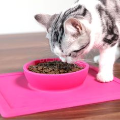 a cat eating food out of a pink bowl