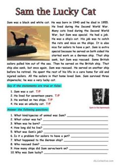 the lucky cat worksheet with answers and examples for students to use in their class