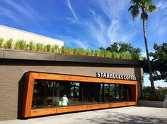 the outside of a starbucks coffee shop with palm trees and blue sky in the background