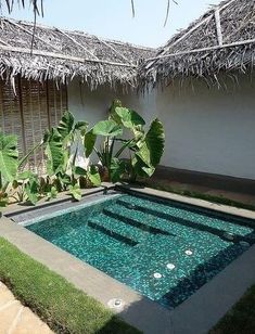 an image of a pool in the middle of a yard with grass and plants around it