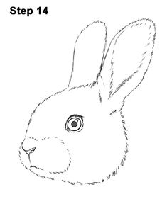 Draw Bunny Rabbit Head 14 Rabbit Head Drawing, Easy Bunny Drawing, Draw Bunny, Draw A Rabbit, Rabbit Nose, Animated Rabbit, Bunny Ceramic, Drawing Instructions