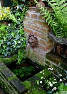 an outdoor garden with plants and water features