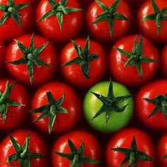 a green apple surrounded by red tomatoes with star shaped leaves on them, in the middle of a group of stars