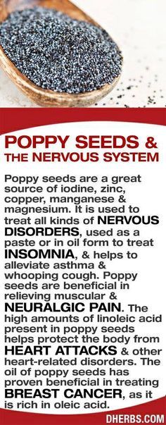 Health benefits of poppy seeds. Lyme Pain, Aries Spring, Seed Benefits, True Vine, Super Sunday, Food Info, Green Earth, Healing Food, Poppy Seed