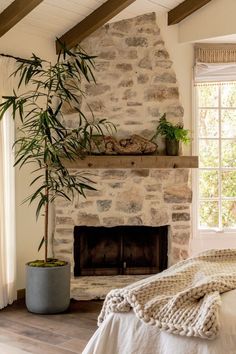 a bedroom with a stone fireplace and potted plant on the bed in front of it