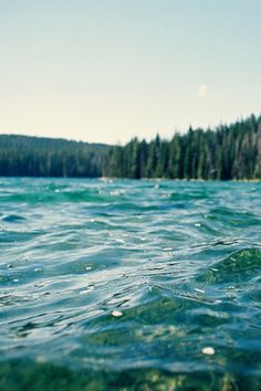 the water is crystal blue and there are pine trees in the distance on the other side