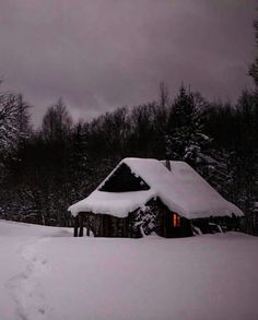 a cabin in the middle of a snow covered field with trees and bushes behind it