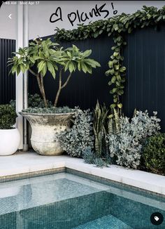 the landscape association website is displayed in front of a swimming pool with plants and potted trees