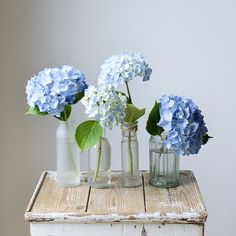 three vases with blue and white flowers sit on an old dresser