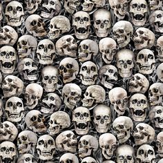 a lot of skulls that are all different sizes