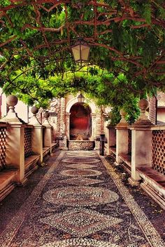 the walkway is lined with benches and trees