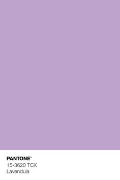 pantone's lilac color is shown in this image