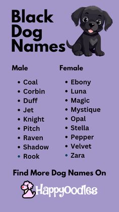 a black dog names poster with different dogs