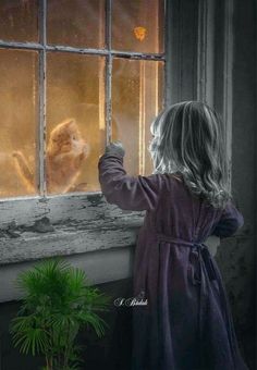 ☮ * ° ♥ ˚ℒℴѵℯ cjf Color Splash Photography, Children Toys, Window View, Through The Looking Glass, Jolie Photo, Sweet Animals