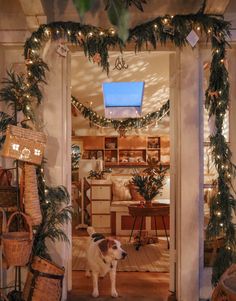 a dog is standing in the middle of a room decorated with christmas garland and lights