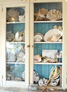 an old china cabinet filled with seashells and shells