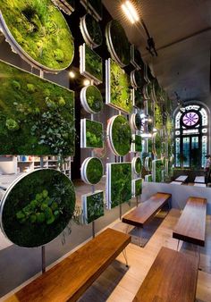 the interior of a restaurant with wooden benches and plants on the wall