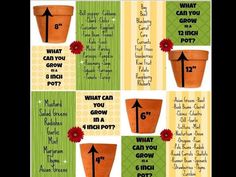 a poster with instructions on how to grow flowers in pots and what they are labeled