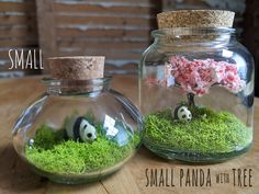 two glass jars filled with moss and small pandas in them on a wooden table